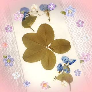 F様★口コミありがとうございました🎶 