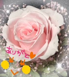 ありがとうございましたm(_ _)m 
