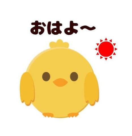 おはようございます♪