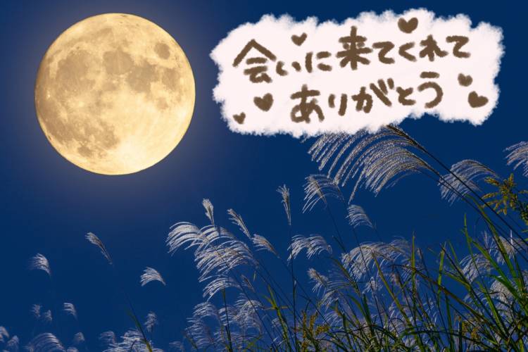 大山菜穂(五十路マダム愛されたい熟女たち 倉敷店(カサブランカグループ))