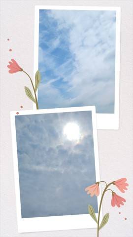 今日は…