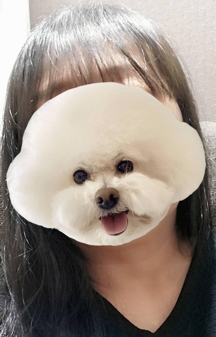 こんばんは