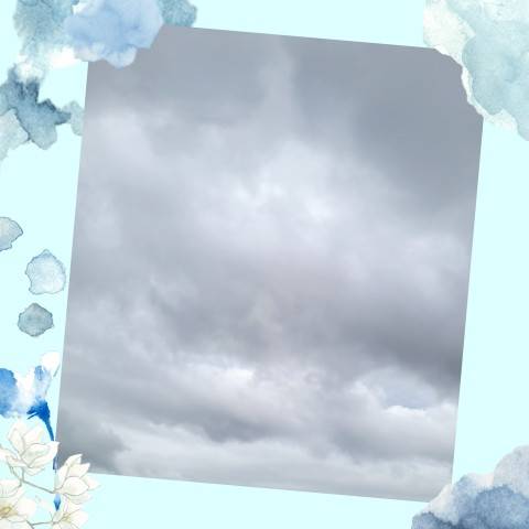 今日は…