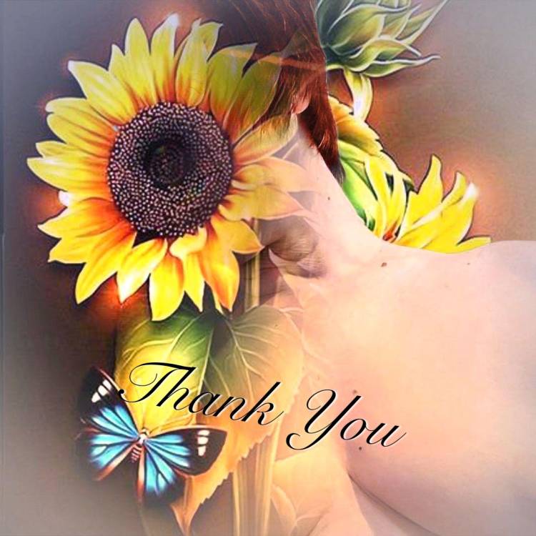 ファインのＮ様へ。