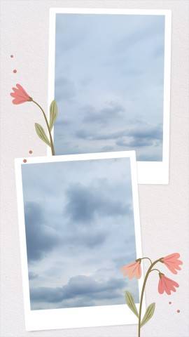 今日は…