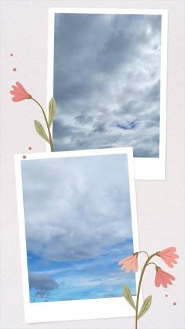 今日は…