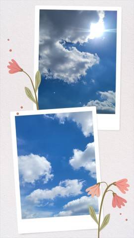 今日は…♪