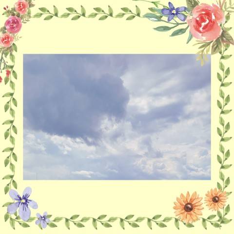 今日は…