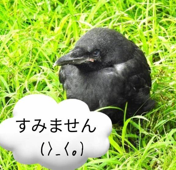すみません！！
