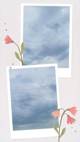 今日は…