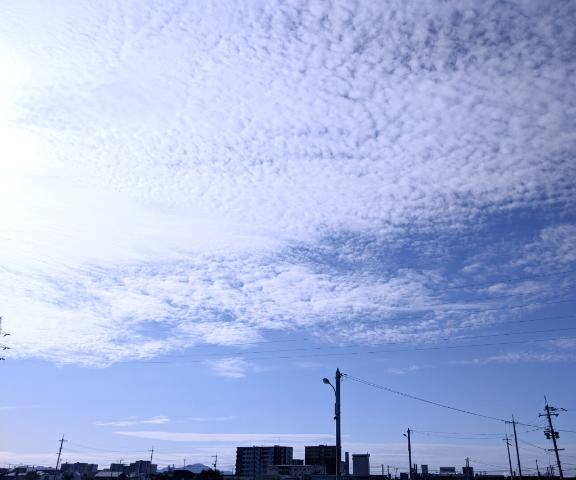 こんばんは