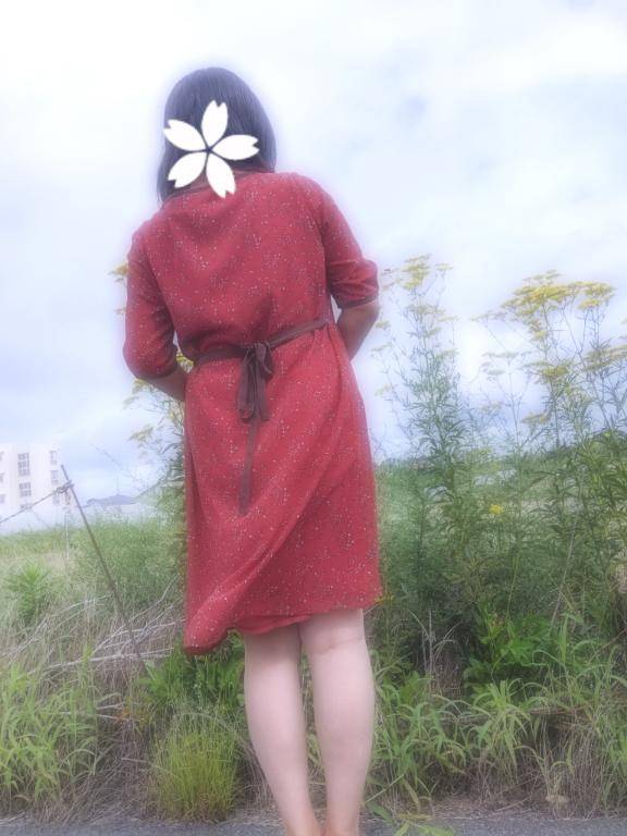 山陰は　晴天なり