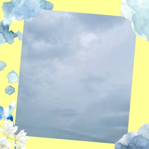今日は…