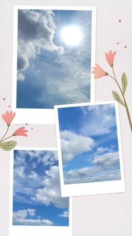 今日は…