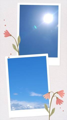 今日は…♪