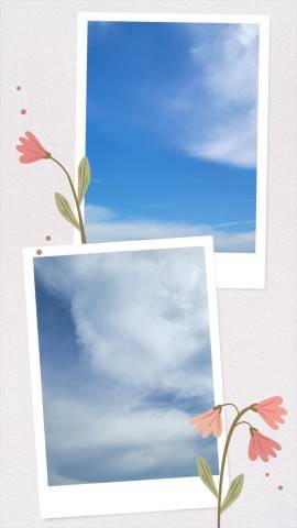 今日は…