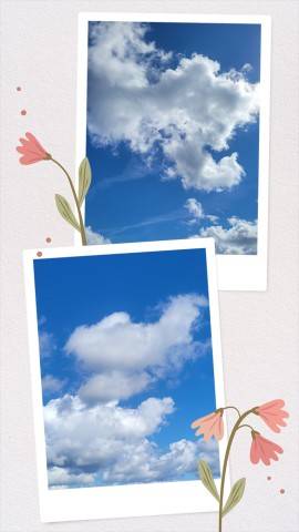 今日は…