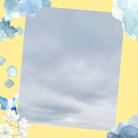 今日は…