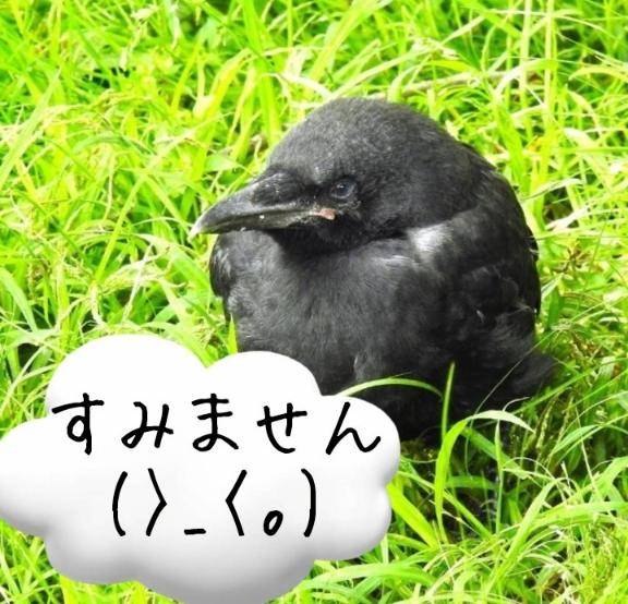 すみません(^-^;