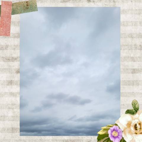今日は…