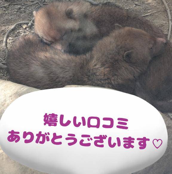 口コミお礼日記　F様