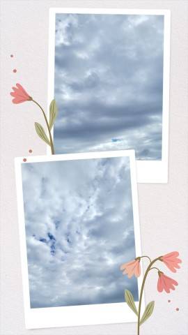 今日は…