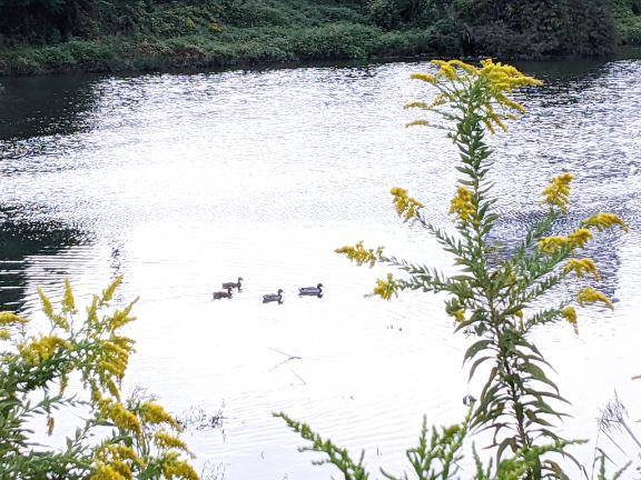 21時半受付まで