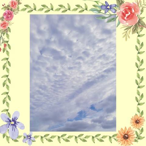 今日は…