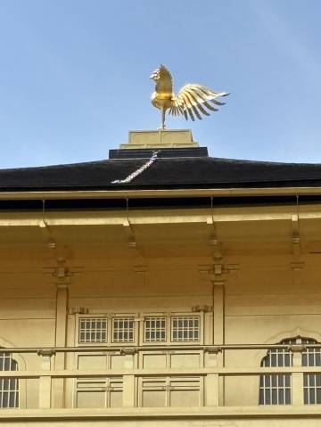 おはようございます^_^