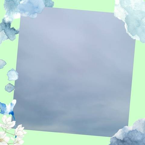 今日は…