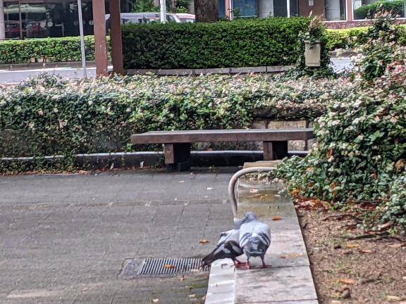 明日は　16時半受付まで