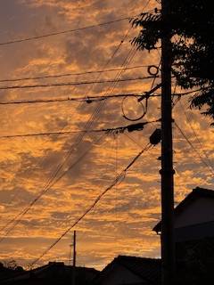 綺麗な空?