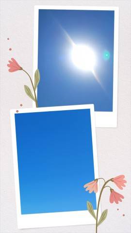 今日は…