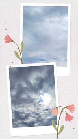 今日は…