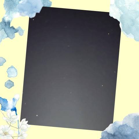 お疲れ様です(*^^*)