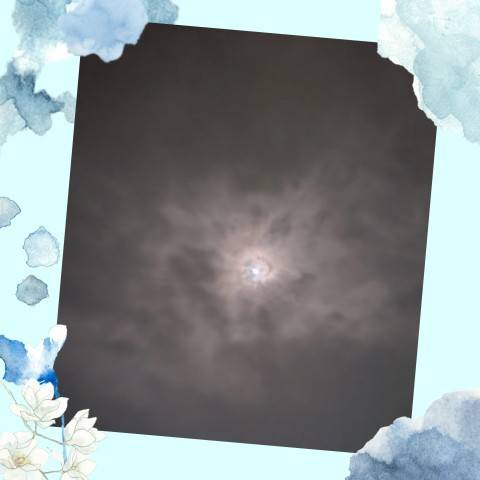 お疲れ様です(*^-^)