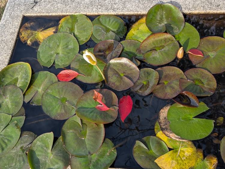 こんにちは?(#^.^#)?