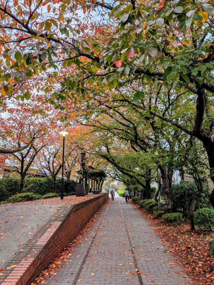 こんばんは???(●´?`●)??