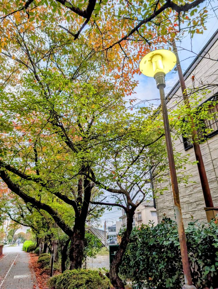 こんにちは?(#^.^#)?