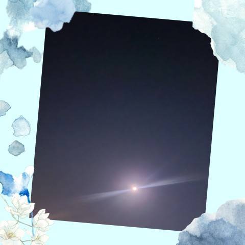 お疲れ様です(*^^*)