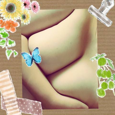 おはようございます(*^^*)