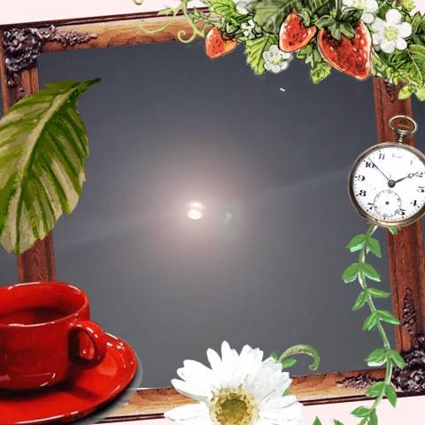 お疲れ様です♪