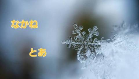 おはようございます！