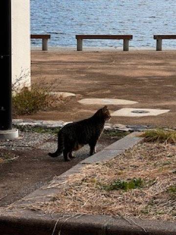 ?チョット気になる?
