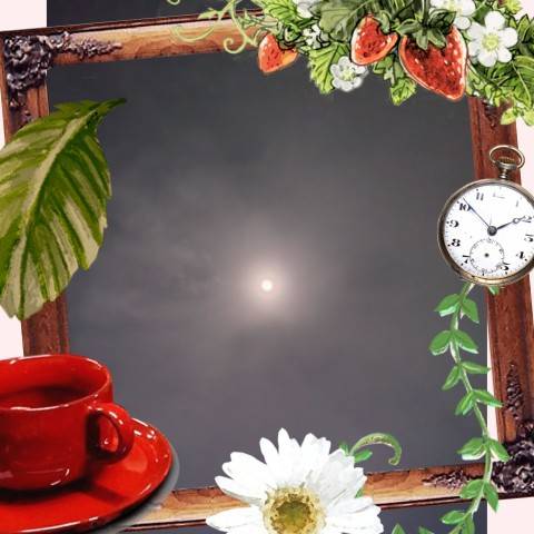 こんばんは(^-^)