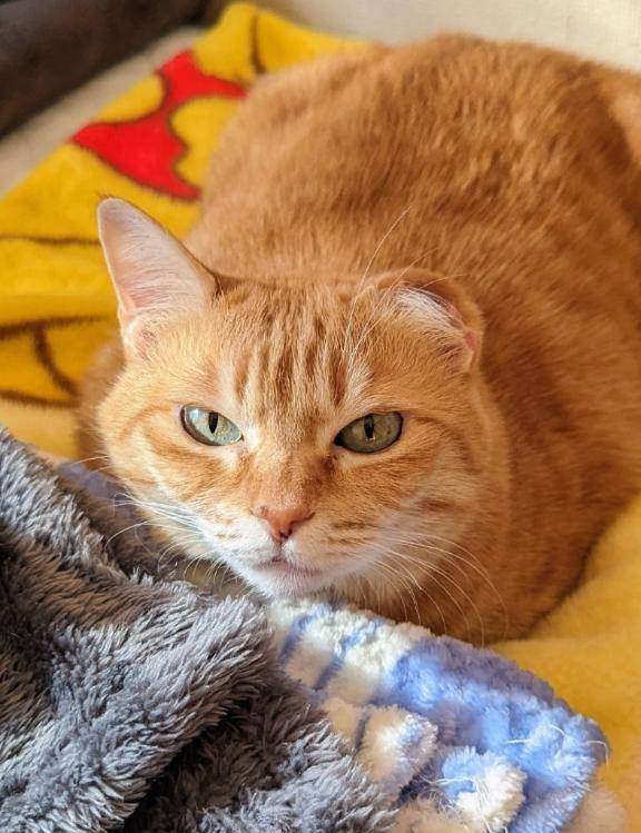 明けましておめでとうございます