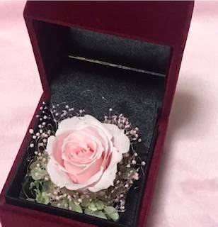 ありがとうございました( * . .)" 