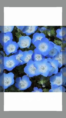 ★明日19：00～再び…★