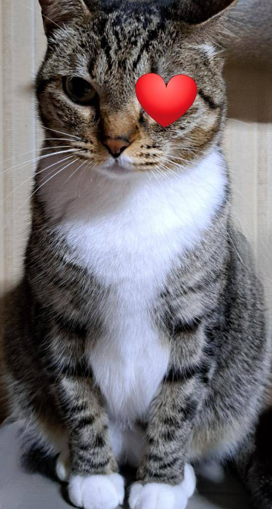 水田まり(五十路マダム愛されたい熟女たち 岡山店(カサブランカグループ))