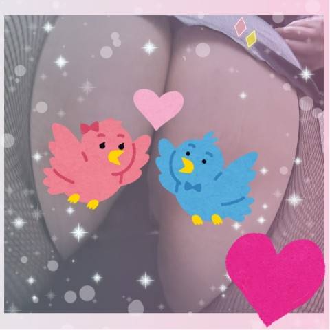 こんにちは(*^^*)